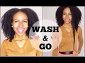 WASH & GO on 4c Natural Hair (water only wash update)