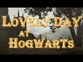 Harry Potter | Relaxing at Hogwarts Rain Ambience Music