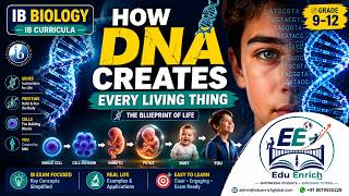 🧬 How DNA Creates Every Living Thing | IB Biology Explained 🌍