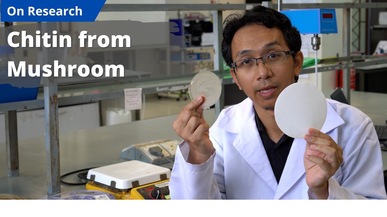 Chitin from Mushroom