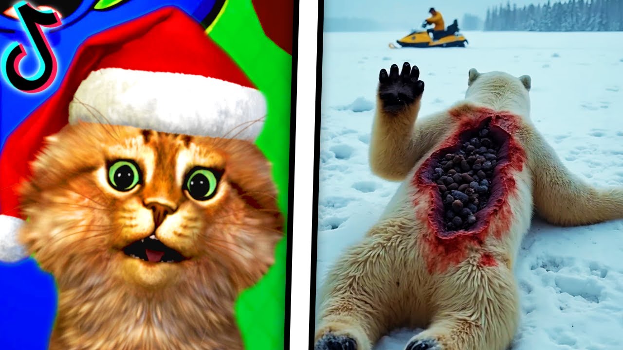 Reacting To The FUNNIEST Videos (TRY NOT TO LAUGH CHALLENGE)