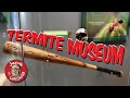 Museum Inspired by Termites - Cook Museum of Natural Sciences