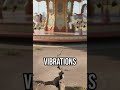 Invisible vibrations controlling these rides #ScienceFacts #AmusementPark