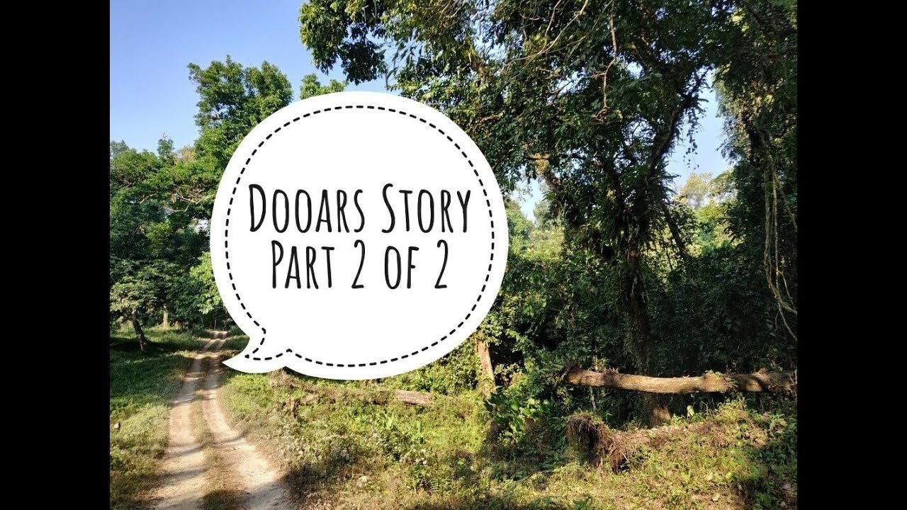 Dooars Tour | Gorumara, Chapramari, Lataguri Safari | Dooars in December | Dooars Story- Part 2 of 2