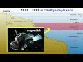 Ocean Zones and Their Characteristics
