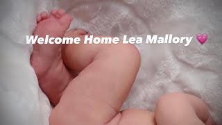 Most scrumptious silicone baby ever/ Box opening 💗 LEA by Szilvia Bacskai #dolls #babydoll