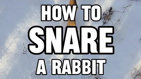 SNARING RABBITS