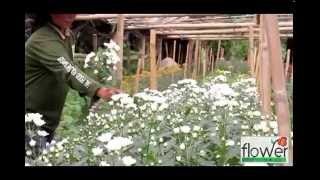 Flower Depot, Inc. - Philippines Flower Shop