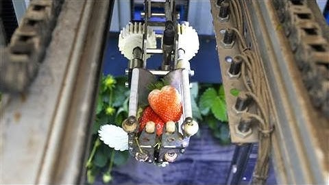 Agrobot Automates the Work of Berry Harvesting