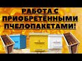 Купили Пчелопакеты что делать дальше?!