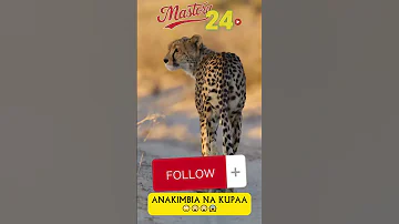 DUMA ANAKIMBIA MPAKA UNAHISI ANAPAA MDA MWINGINE 