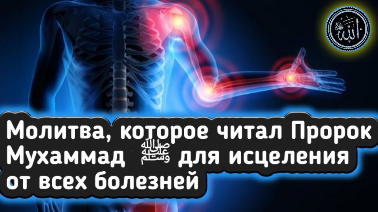 Новый Год Харам Дед Мороз Новый Год Харам Дед Мороз