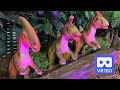 3D 180VR 4K Three Cute Baby Dinosaurs, Parasaurolophus, Tsintaosaurus, Corythosaurus in Forest