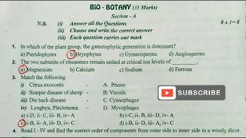 11th Bio botany revision test question paper #2022 #11thbiobotany #11thclass BOTANYwithSAN | SUBS