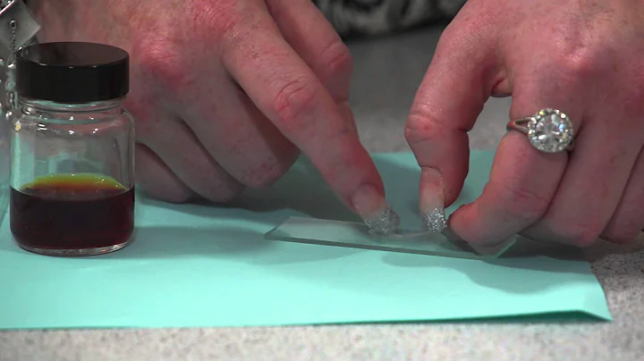 How to prepare an onion cell microscope slide