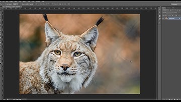 Basics Tips for Using the High Pass Filter in Adobe Photoshop