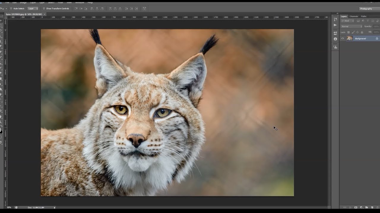 Basics Tips For Using The High Pass Filter In Adobe Photoshop Youtube