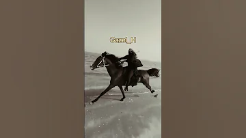 إن طقت وان ماطقت ناخذها بزود وخاوة 