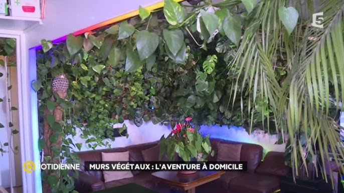 Mur végétal d'intérieur : un jardin au cœur de votre maison