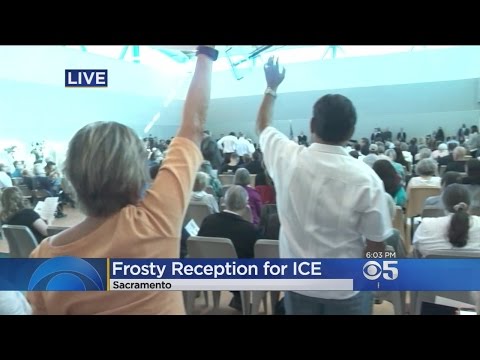 Director Of ICE
