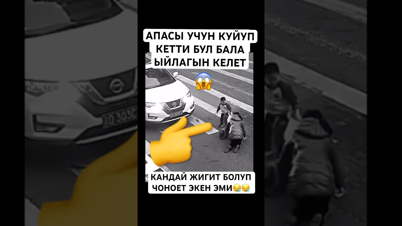 ⁣БАА БЕРДИМ 😍☝️ #тикток #моялошадь #дуэт #лошадки #rek #тренд #юмор #той