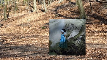 Finishing the Mastery Program and starting my own company. The marketing part week 44-52