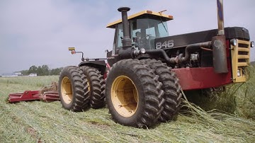 Grazing Cover Crops: Cover Crop Termination