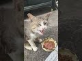 😸「パパが来てくれたよ」息子なりの歓迎かな？？
