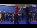 Pencak silat  tsa  fighting silat  penchak silat