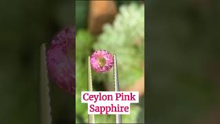 Ceylon Pink Sapphire