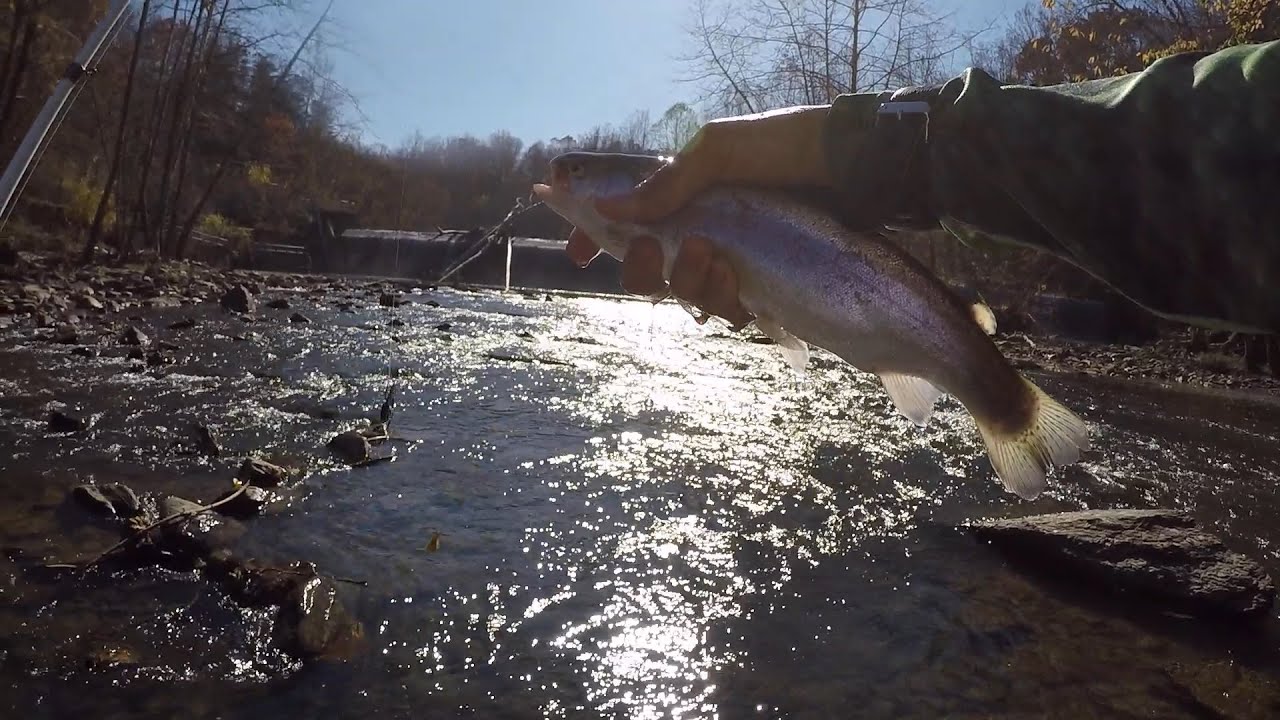 How to Fish for Trout in a River/Creek by 1Rod1ReelFishing 