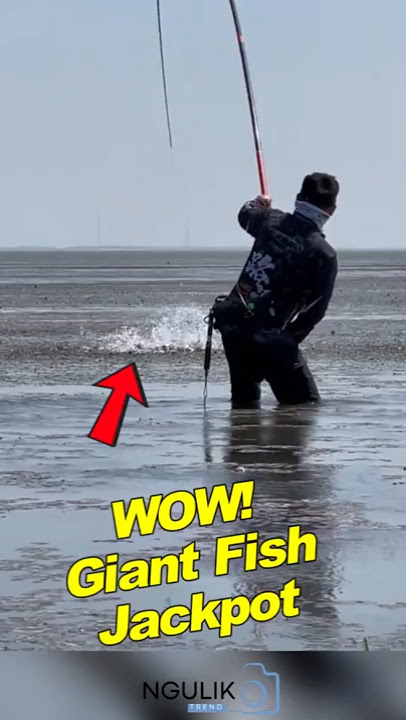 Unbelievable! Man Battles Giant Swamp Fish! #shortsfeed #funny #fishing