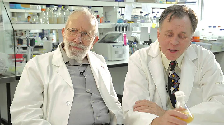 Curiosity: The secret to research breakthroughs