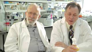 Curiosity The secret to research breakthroughs