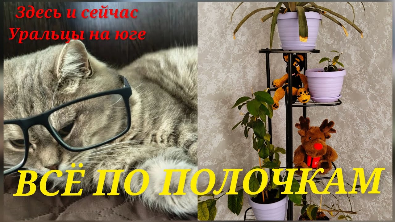 Всё по полочкам.Важная инструкция. О звездах.