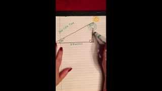 Right triangle word problem:  a tree and its shadow