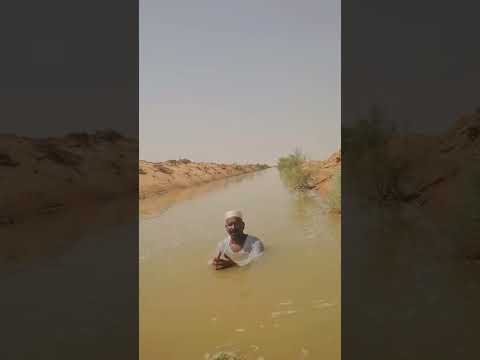 خالد شقوري الجميل تعالو نغني حنيه 