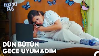 Bildiğiniz Tüm Stalkerları Unutun - Erkenci Kuş