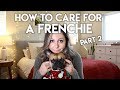 HOW TO TAKE CARE OF A FRENCHIE PART 2