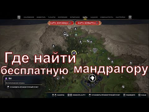 Hogwarts Legacy где найти мандрагору бесплатно, задача профессора Чесноук