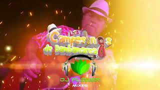 Los Shapis Vs  Los Campesinos de Bambamarca  -  El Huevo de La Vecina  MASHUP   Dj Flower Mixes