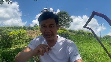 Tiết Cương BỊA CHUYỆN với Cát Tường và Bác Tín | MC Diễn viên Nguyễn Trí Cát Tường