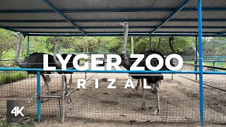 Lyger Zoo | BEST ZOO In The Philippines!!? | Walking Tour | 4K | ETV Walking Tour