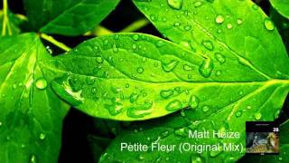 Matt Heize - Petite Fleur (Original Mix)