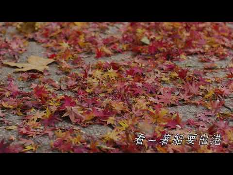 心肝亂糟糟 黃乙玲 Eb
