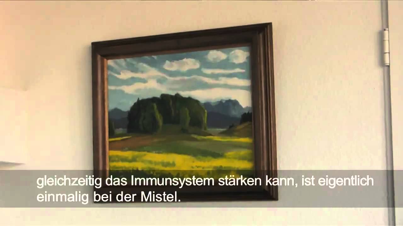 Projektarbeit Videojournalismuslehrgang FH Vorarlberg - YouTube