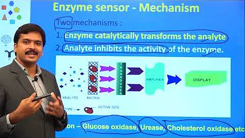 BIOCATALYSIS BASED BIOSENSORS (Session - IV) - 天天要聞