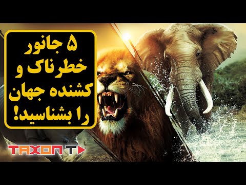 تصویری: کدام یک از موجودات زیر از موجودات همه چیزخوار است؟