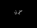 حالات واتس مهرجانات2020 مصاحبش فرافير حتي لو راكبين فيراري