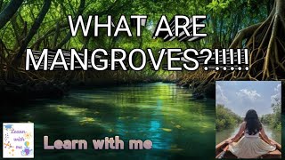 Mangroves forest
